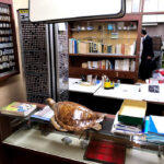 before_02