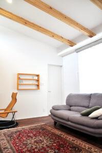 Mhouse_big01